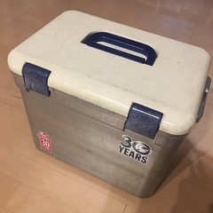 塗装したまずまずカッコいいクーラーボックス