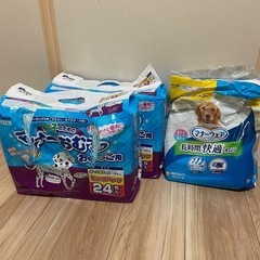 わんちゃんのおむつセット