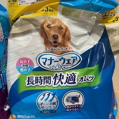 わんちゃんのおむつセットの画像