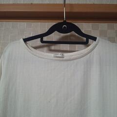 COLZAオフホワイトトップス七分袖の画像