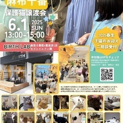 6/1(日)みなとねこ保護猫譲渡会＠麻布中