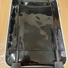 ベビードールキャリーバッグの画像