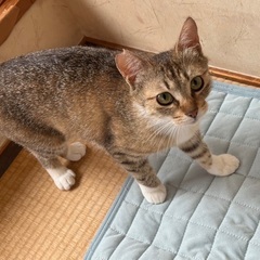 可愛いくお転婆な　ゆいちゃん − 兵庫県
