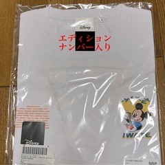 47都道府県ご当地ディズニーTシャツ(抽選限定販売) 岩手の画像