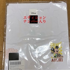 47都道府県ご当地ディズニーTシャツ(抽選限定販売) 愛知の画像