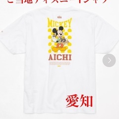 47都道府県ご当地ディズニーTシャツ(抽選限定販売) 愛知