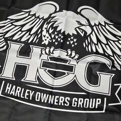HARLEY OWNERS GROUP ハーレーダビッドソン レジャーシートの画像
