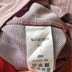 【メンズLサイズ】メッシュ素材　Tシャツの画像