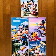 ディズニー ミッキーマウス 
写真　アルバム
