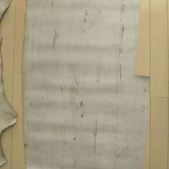 皮革端切れ2枚の画像