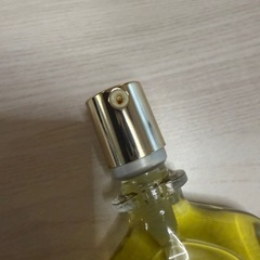 CHANEL シャネル No19 オードパルファム リフィル　50ml 香水の画像