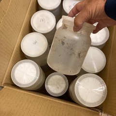 菌糸ボトル  おゆさんとお話中