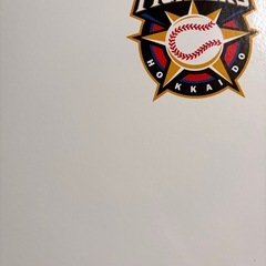プロ野球トレカ 日ハムバインダーセット シリアルあり！！