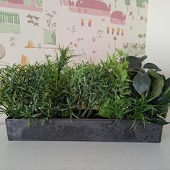 【インテリア・フェイクグリーン】の画像