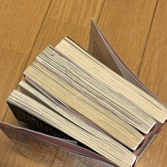 天は赤い河のほとり 28全巻＋ファンブックの画像