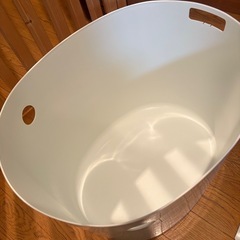 猫 トイレの画像