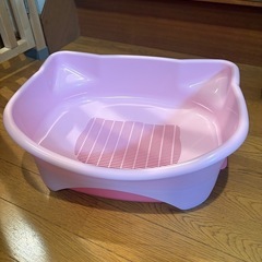 子猫 システムトイレの画像