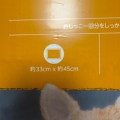トイレシーツの画像