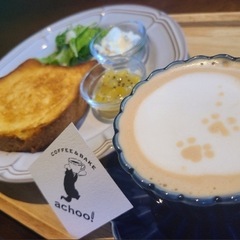 カフェ活仲間☕️🌿