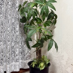 観葉植物　造花　インテリア　