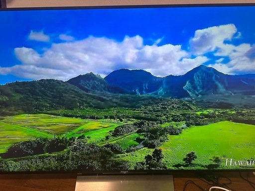 80%off  65型 SONY 液晶テレビ