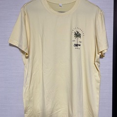 Tシャツ半袖の画像