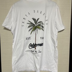 Tシャツ半袖の画像