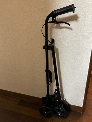 ハンドレールステッキII