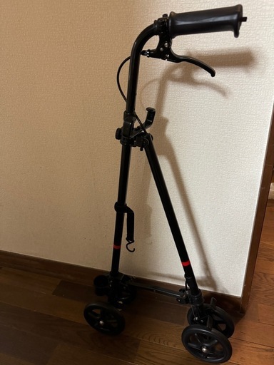 ハンドレールステッキII