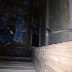 アライグマの屋内侵入　出産子育て中  は大変なことです