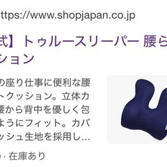 トゥルースリーパー腰楽クッション、バスタオルの画像