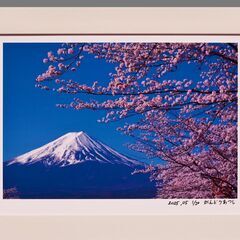 ●『桜と富士山』●がんどうあつし写真撮影・編集落款サイン入り20枚限定A4額装品の画像