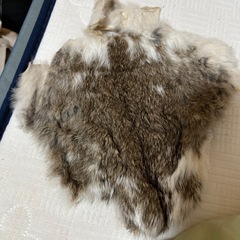 訳ありラビットファー