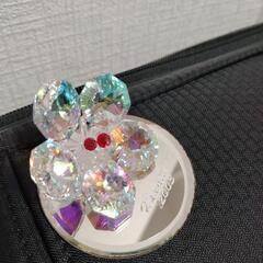 キラキラのハイビスカス　ハワイで買いましたの画像