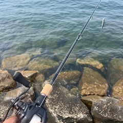 釣り友達募集中です😊
