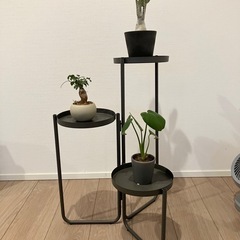 グリーンラック