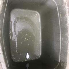 メダカ等に