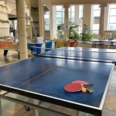 【社会人限定🌟面白さメインの卓球やります‼️🏓】卓球したい人募集🏓