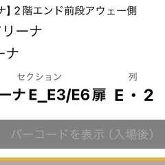 受渡者決定  しました。ゴールデンキングス ファイルチケット の画像