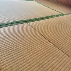 たたみ　ダニ防止