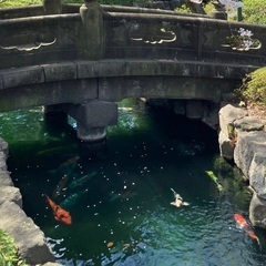 着物を着て祇園木屋町散策 - 友達