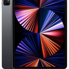 M1 チップ iPad pro 12.9インチ 256GB wi...