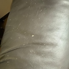 電動ソファ¥0の画像