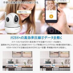 【新品】MicroSD付属 防犯カメラ 屋内用 ワイヤレス CS26Q 400万画素 2.4GHz 5GHz AI機能搭載 ONVIF対応 超 MicroSDカード 録音 遠隔監視 PSE 技適の画像
