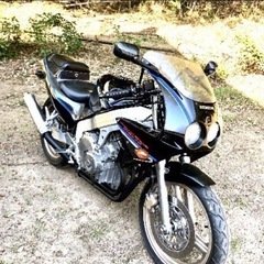 【規制前45馬力】ホンダ　CBR250RハリケーンMC19の画像