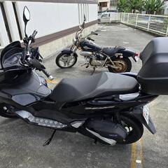 pcx160　の画像