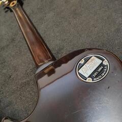 Gibson TAK Matsumoto CY キャナリーイエロー 99年モデルの画像