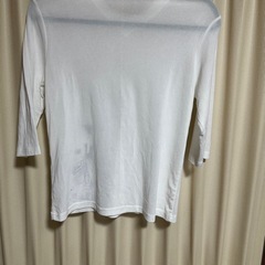 Tシャツ　カットソー　半袖Ｌ　②の画像