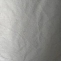 【中古】熊出没注意ＴシャツLの画像