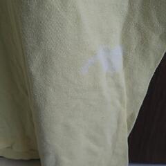 【中古】熊出没注意ＴシャツLの画像